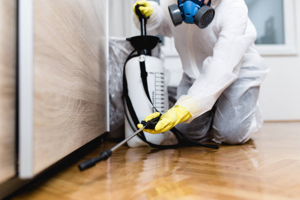 Best Bed Bug Extermination  in Exander City, AL