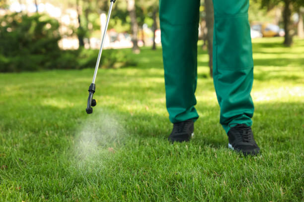 Best Flea Control Services  in Exander City, AL