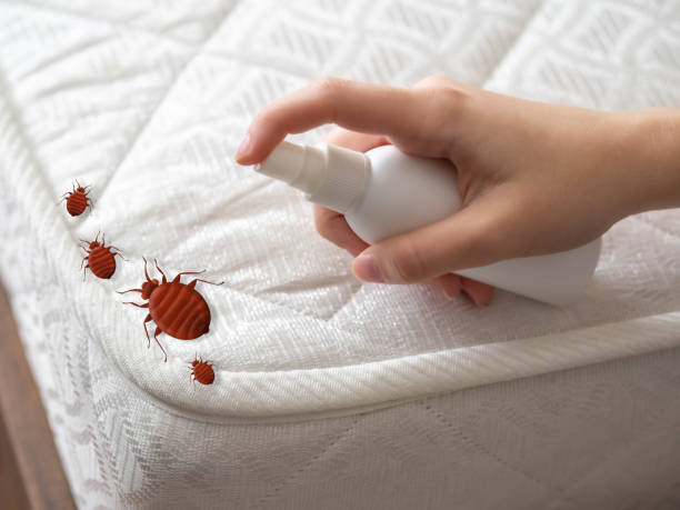  Exander City, AL Pest Control Pros