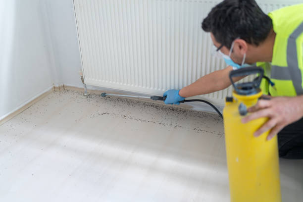 Best Wasp Removal Services  in Exander City, AL
