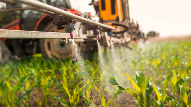 Best Insect Control  in Exander City, AL