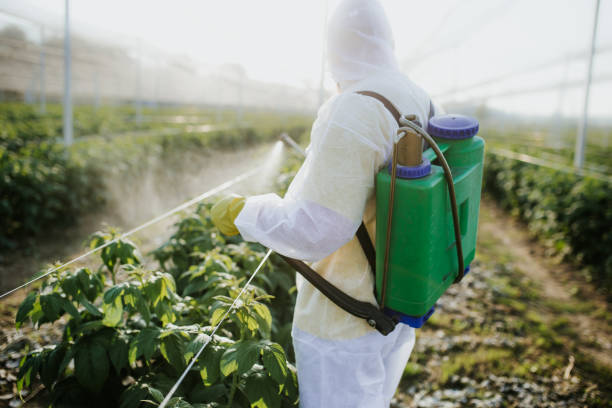 Best Pest Inspection Near Me  in Exander City, AL